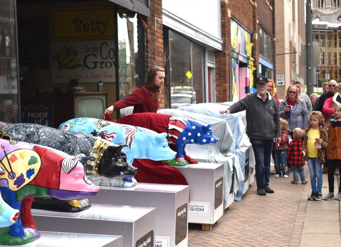 Hog statues unveiled News, Sports, Jobs Fairmont Sentinel